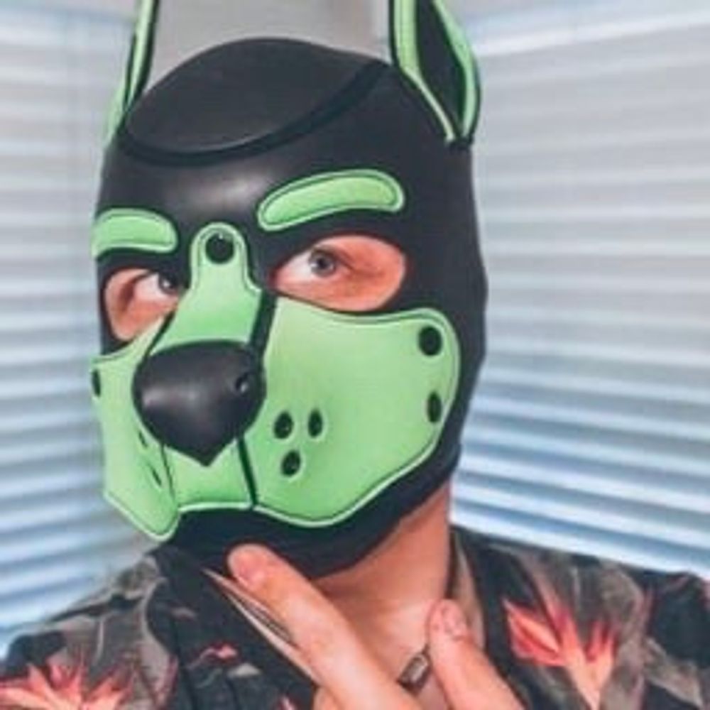 🔞Pup Shiner | PupInTheTower 🔒