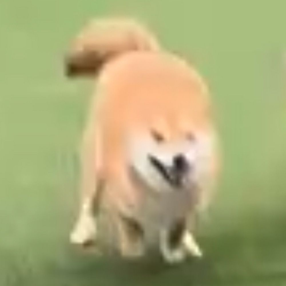 もんもも