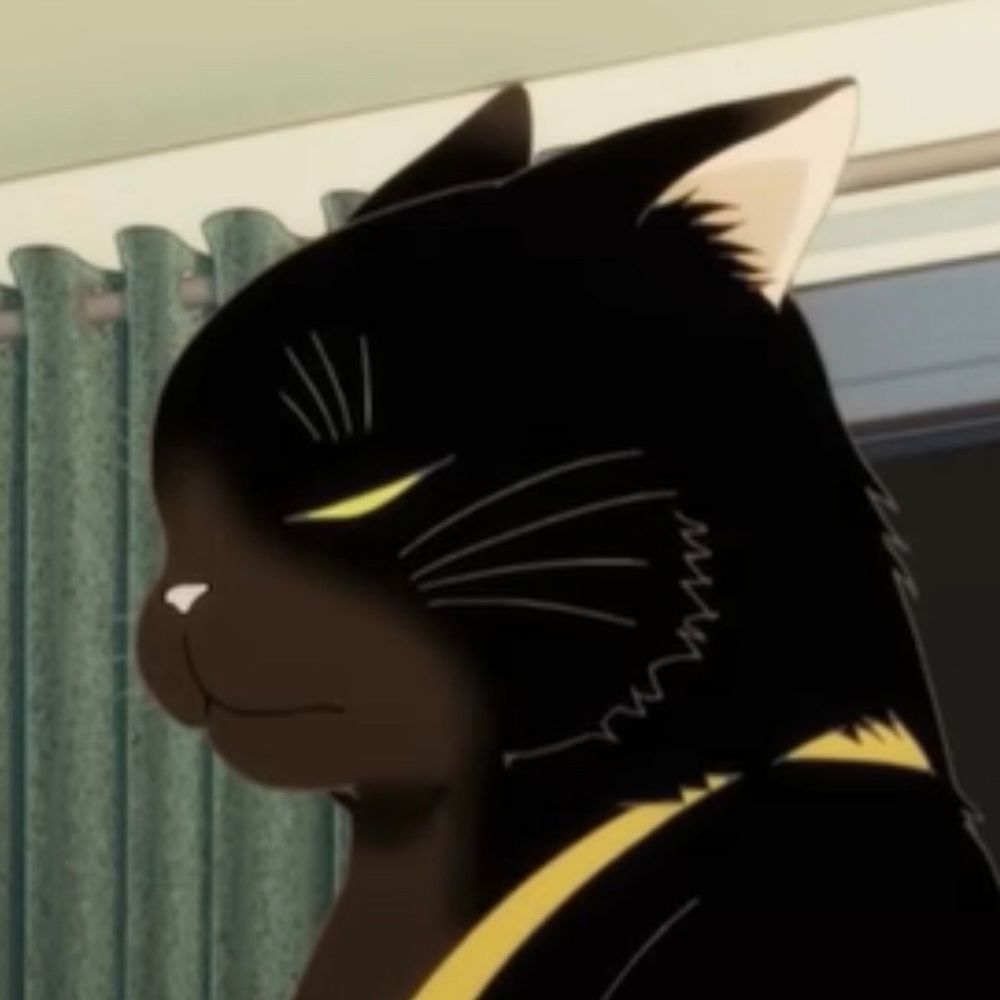Cat Face