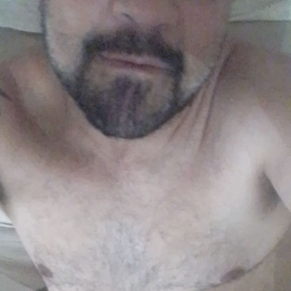 Bearfasthot24