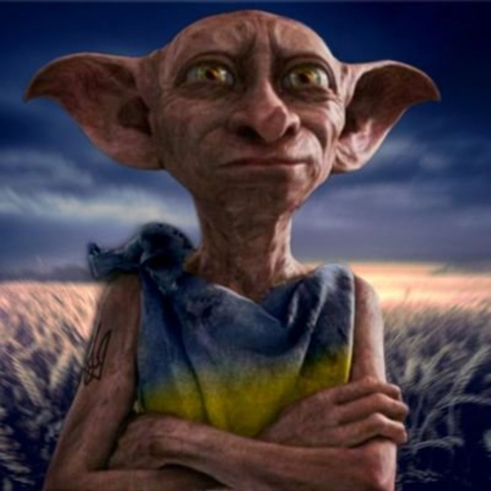 Dobby the free elf