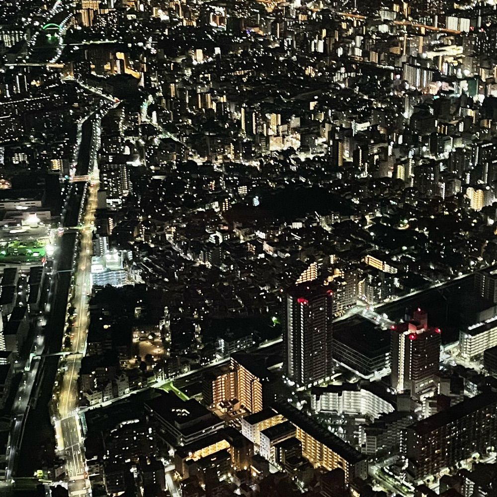ヤマモト
