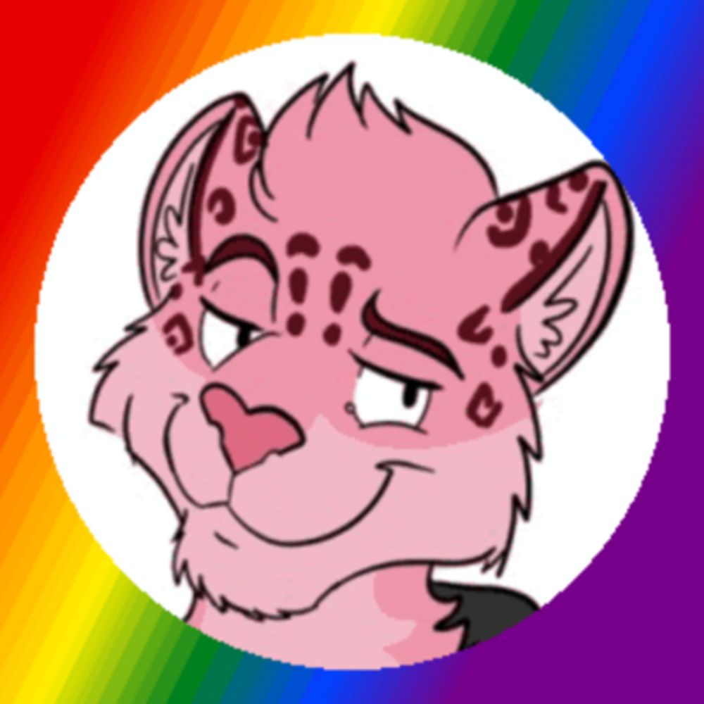 🌸😺THAT pink cat😺🌸