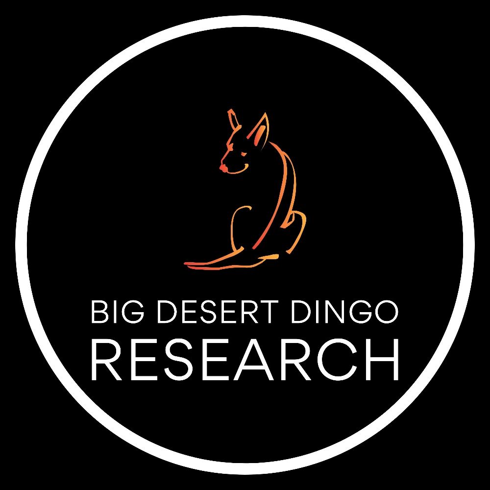 Big Desert Dingo Research