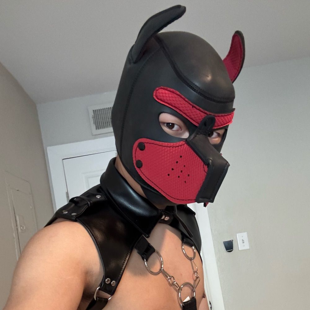 Pup Ramon