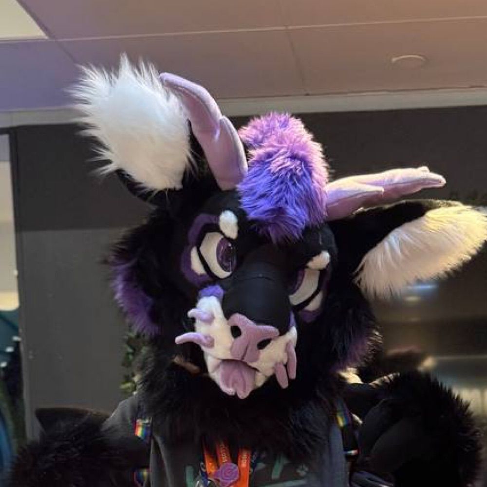 💜Duko/Skyera - SC, CfZ, AC, EF 2025 🖤