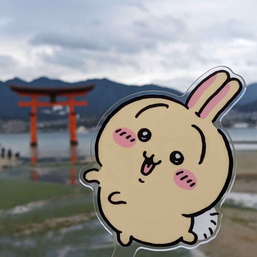 ましろ。