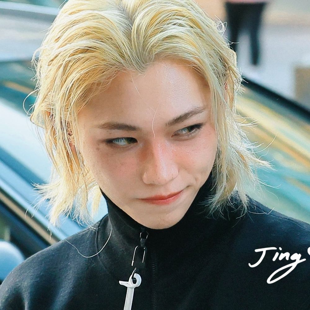 Daily Felix 🐣