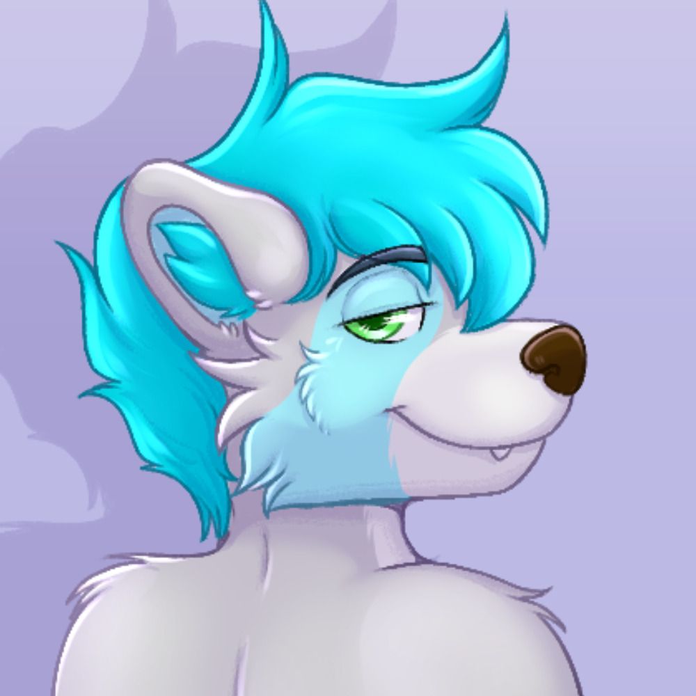 Ender the Raccoon