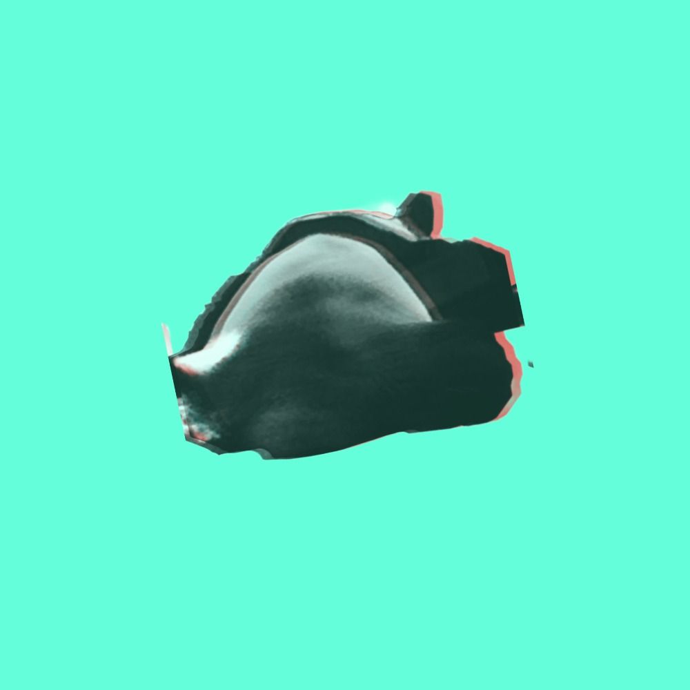 rakimonchi