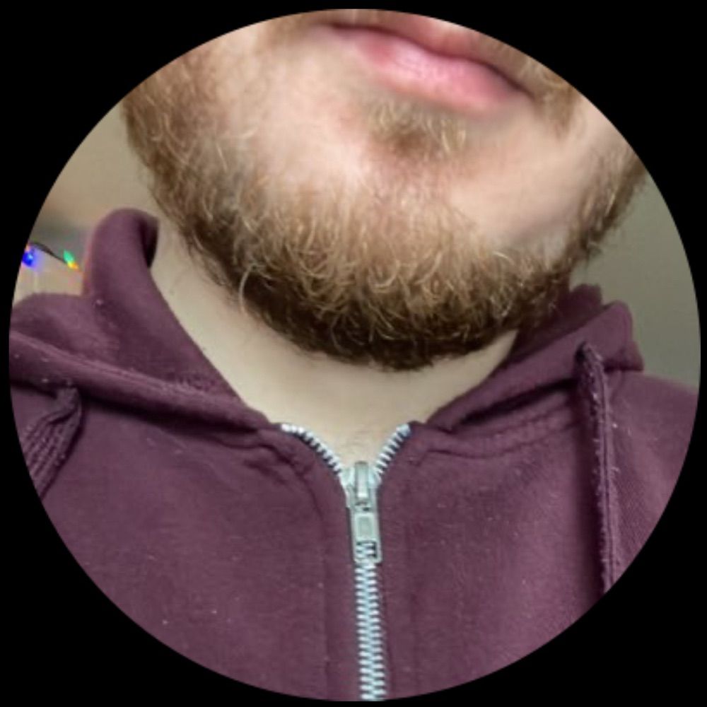 Semi-Hairy Bear