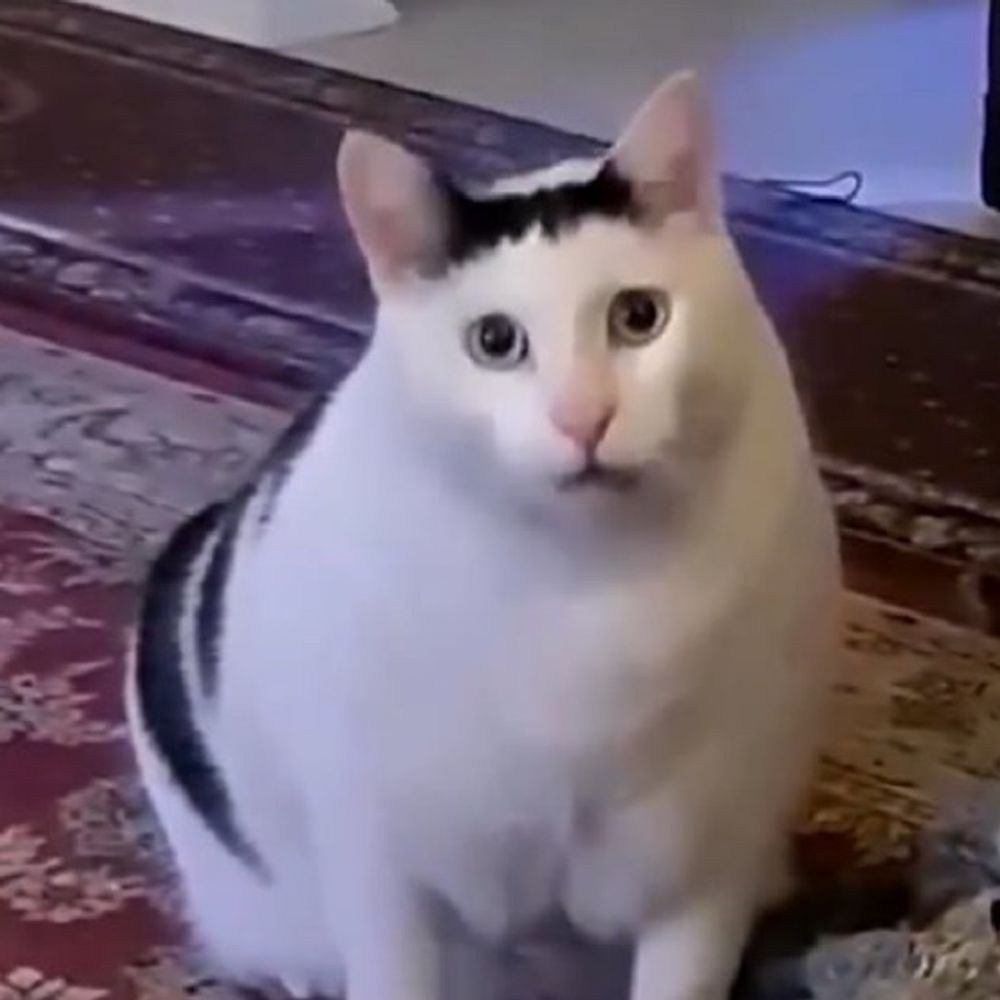 あくま