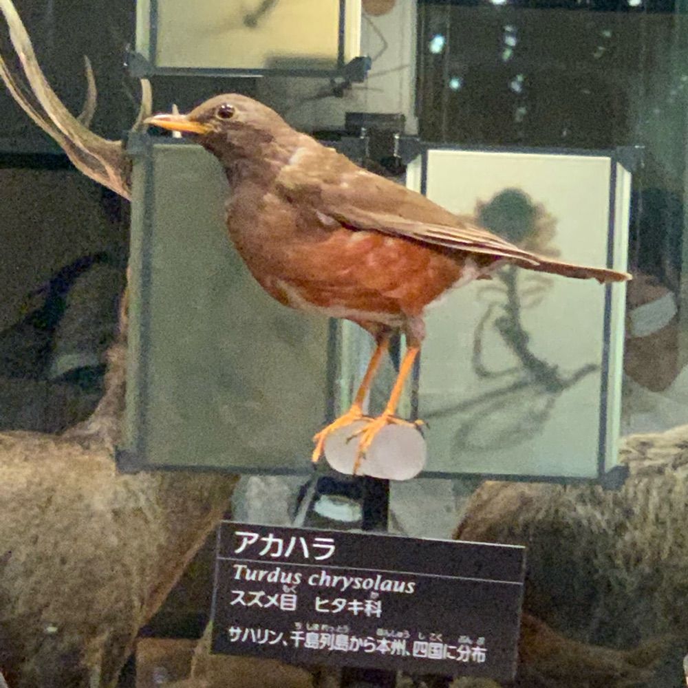 種田山頭火