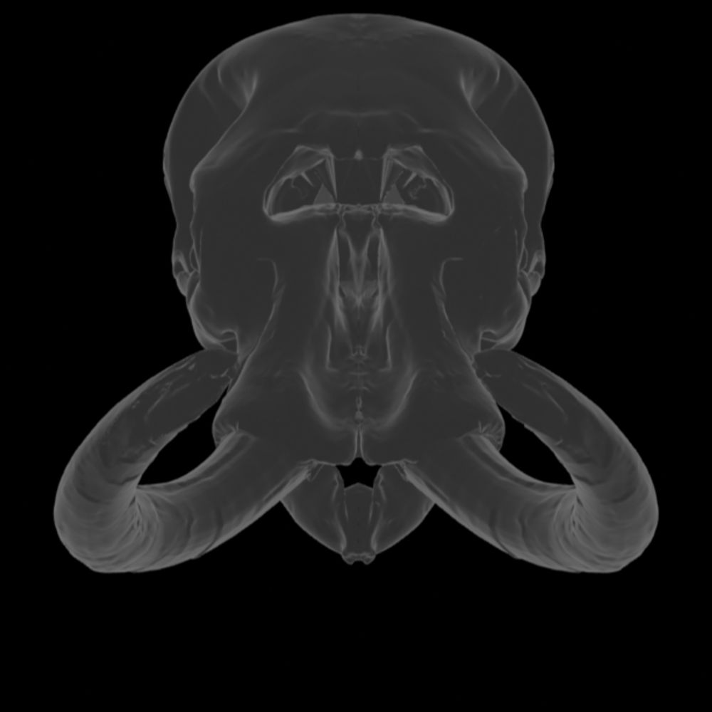 mammutoid_