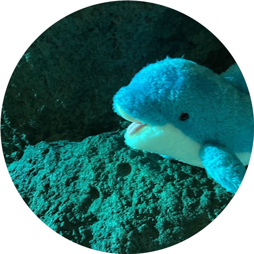ぬん