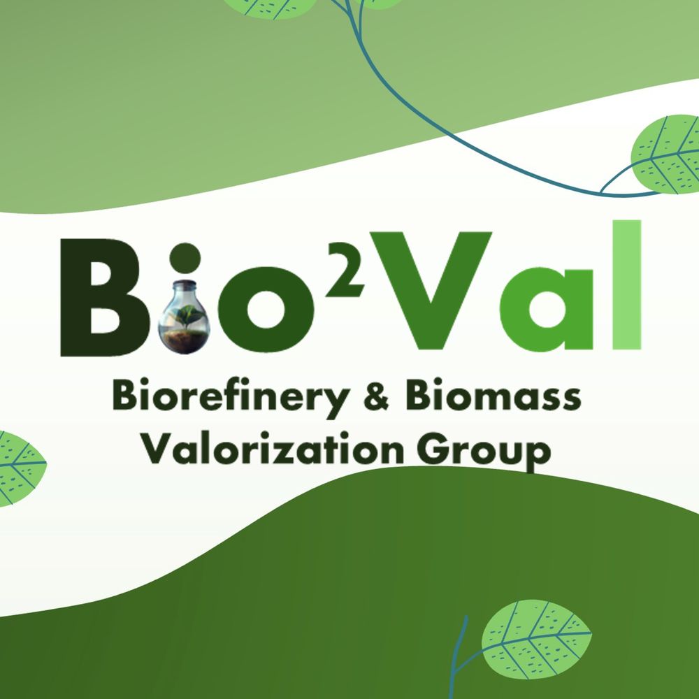 Biorefinery and Biomass Valorization Group