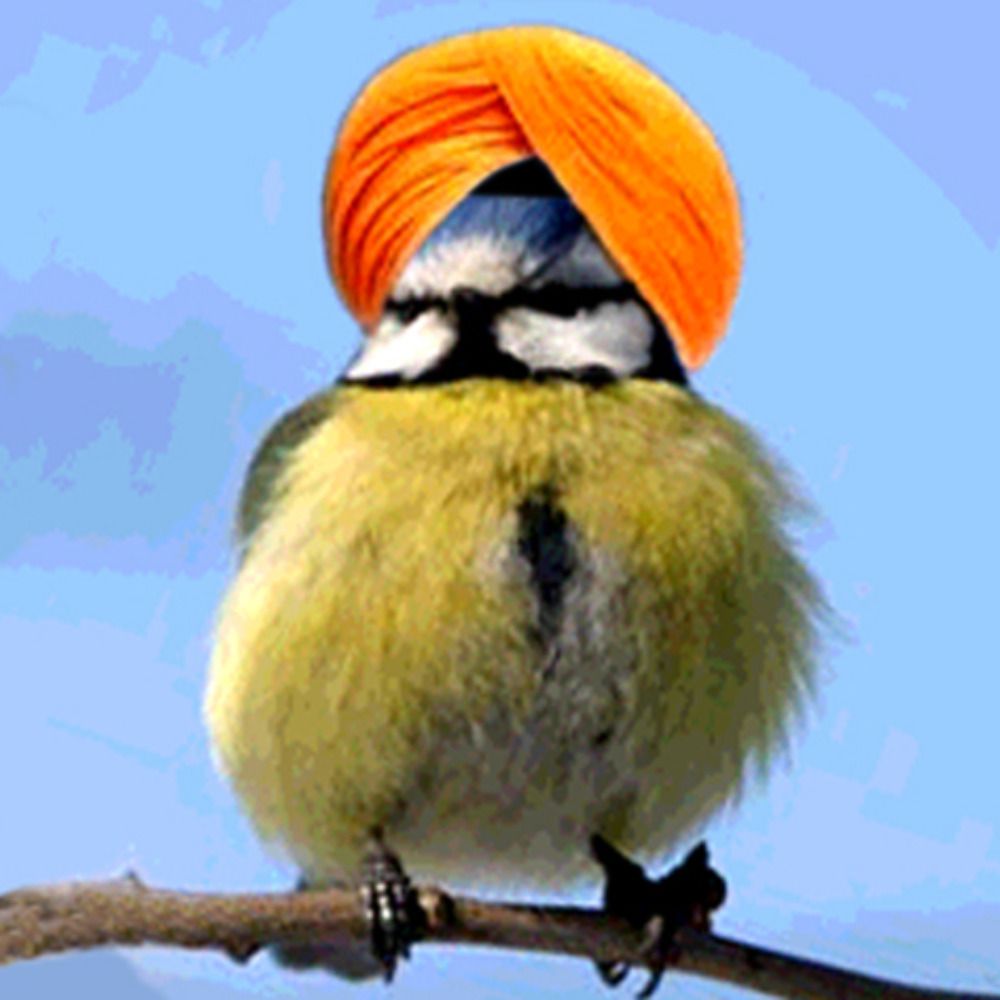 Guru_Mahalassma's avatar