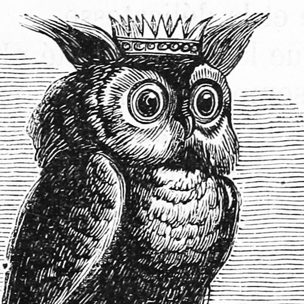 KingBirb 💕