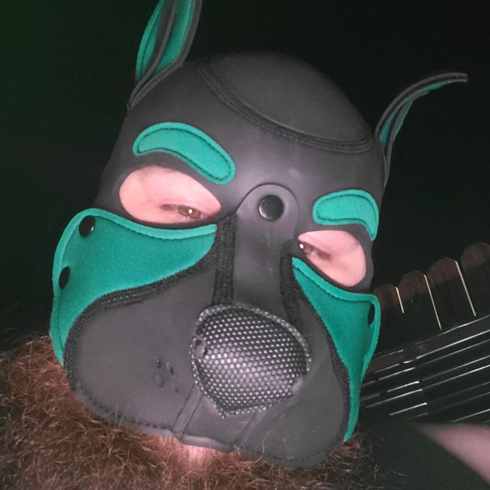 Pup_Road