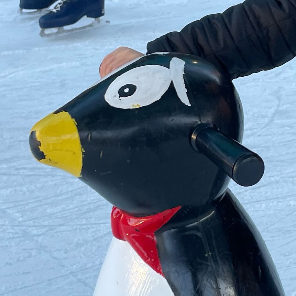 Political Science Penguin