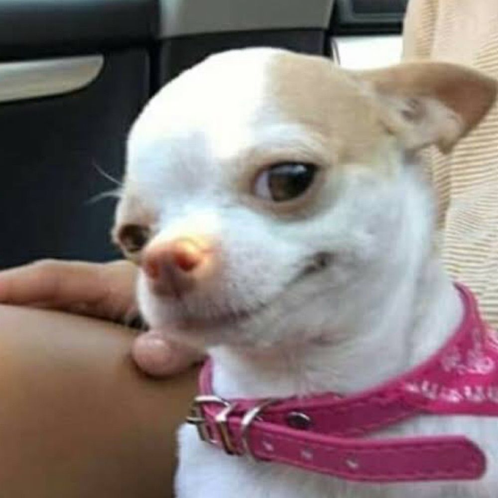 lulu