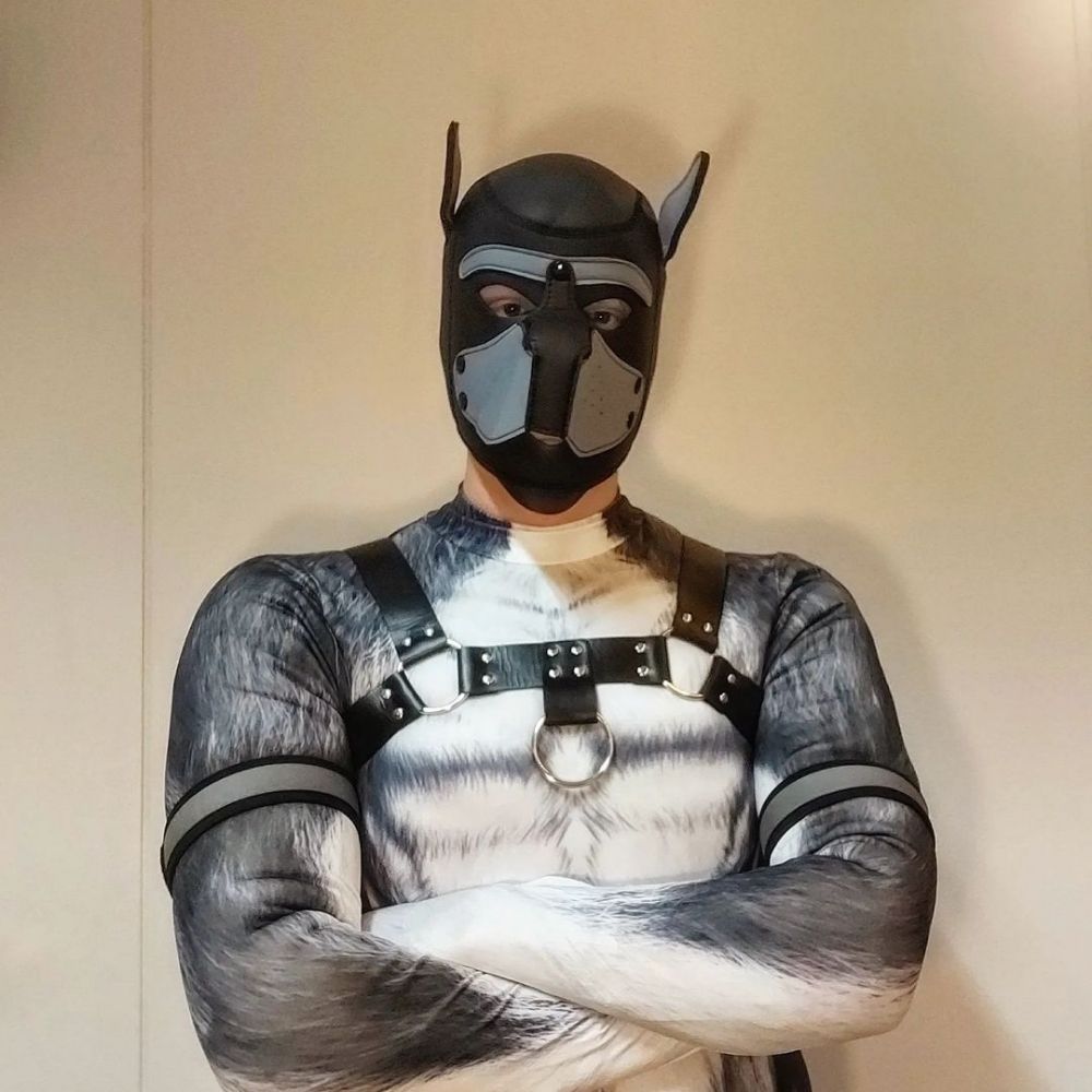Pup Dyno