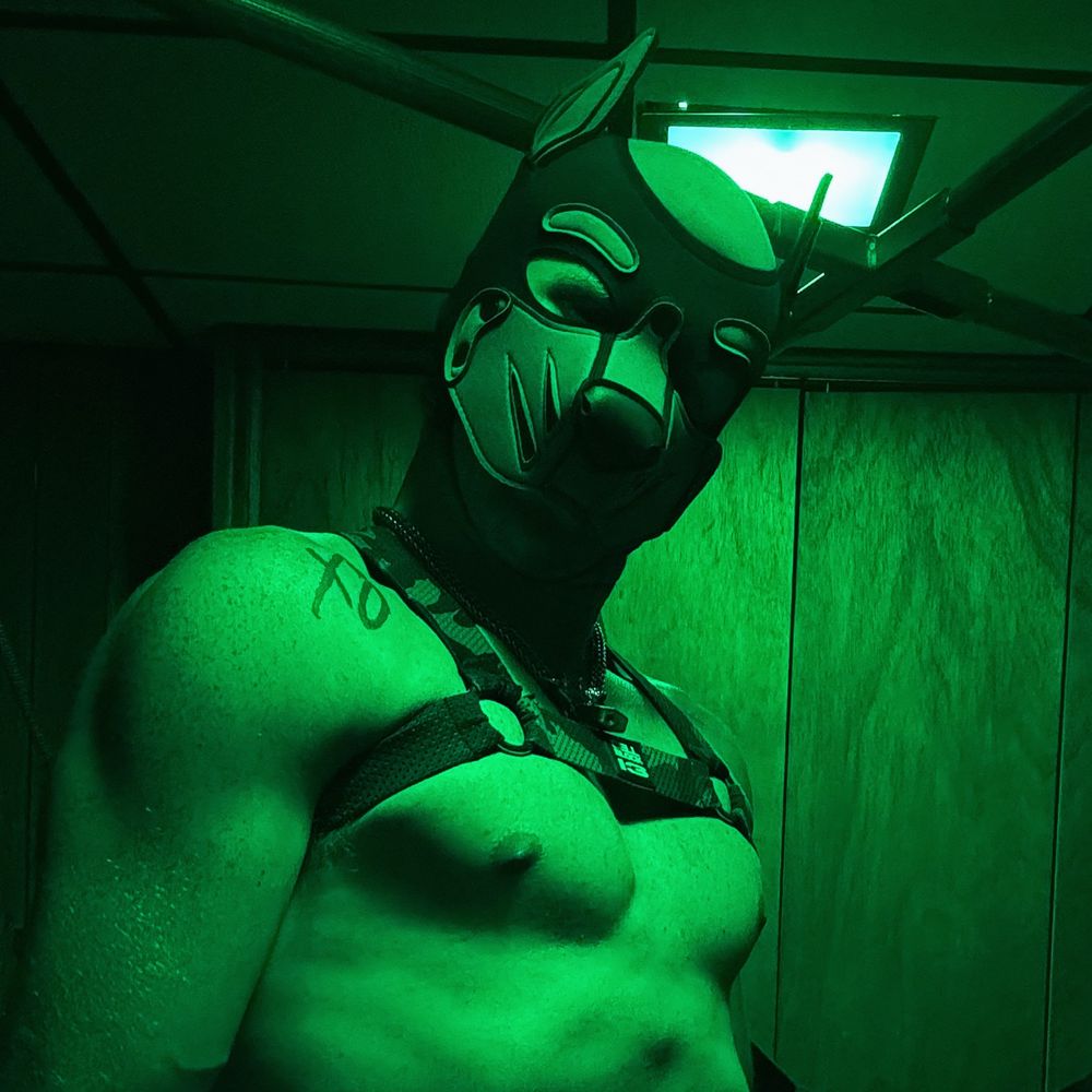 BusterAfterDark