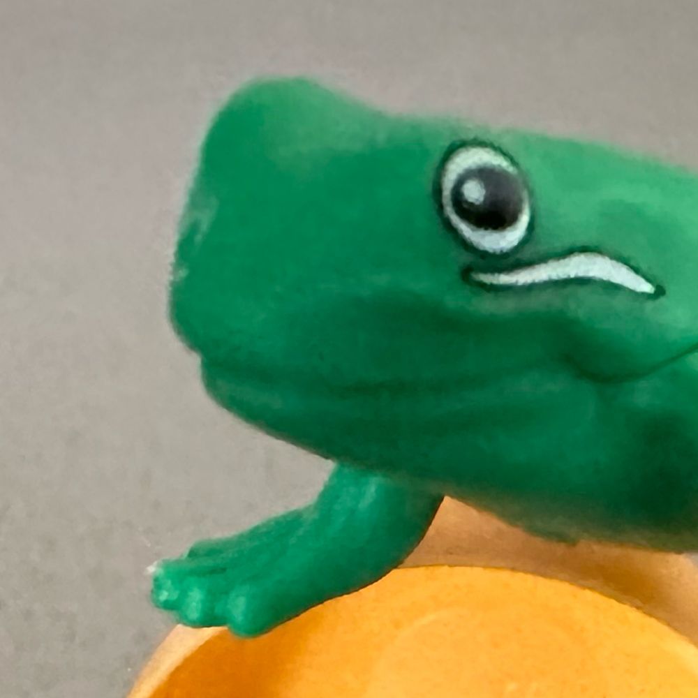 __dan