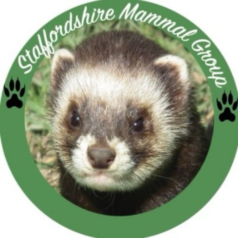 Staffordshire Mammal Group
