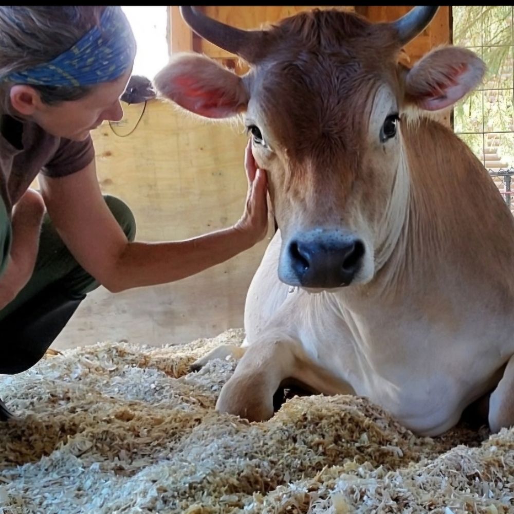 Off The Plate Sanctuary