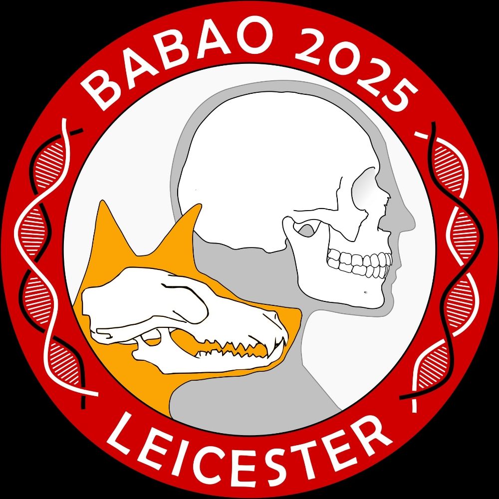 BABAO 2025 Annual Conference