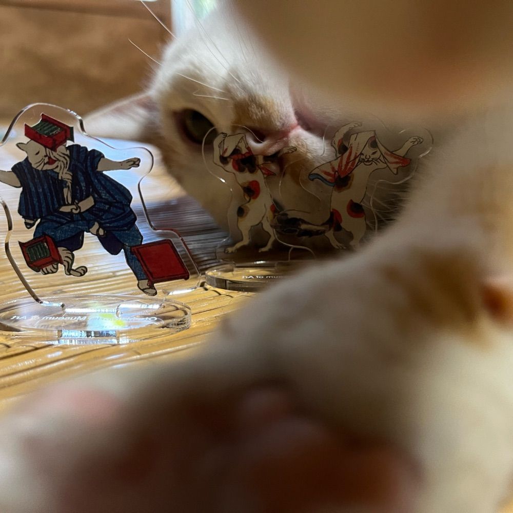 松