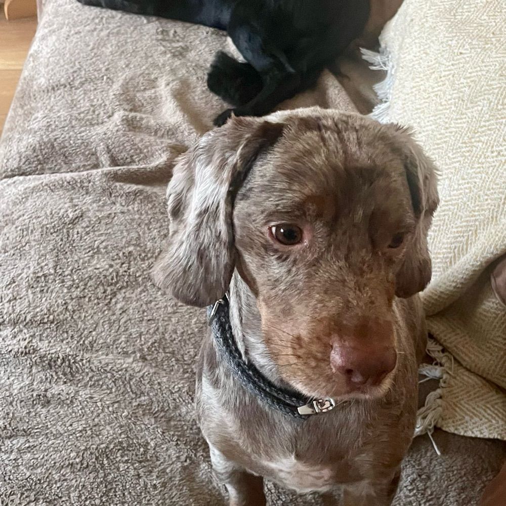 Ted and Layla