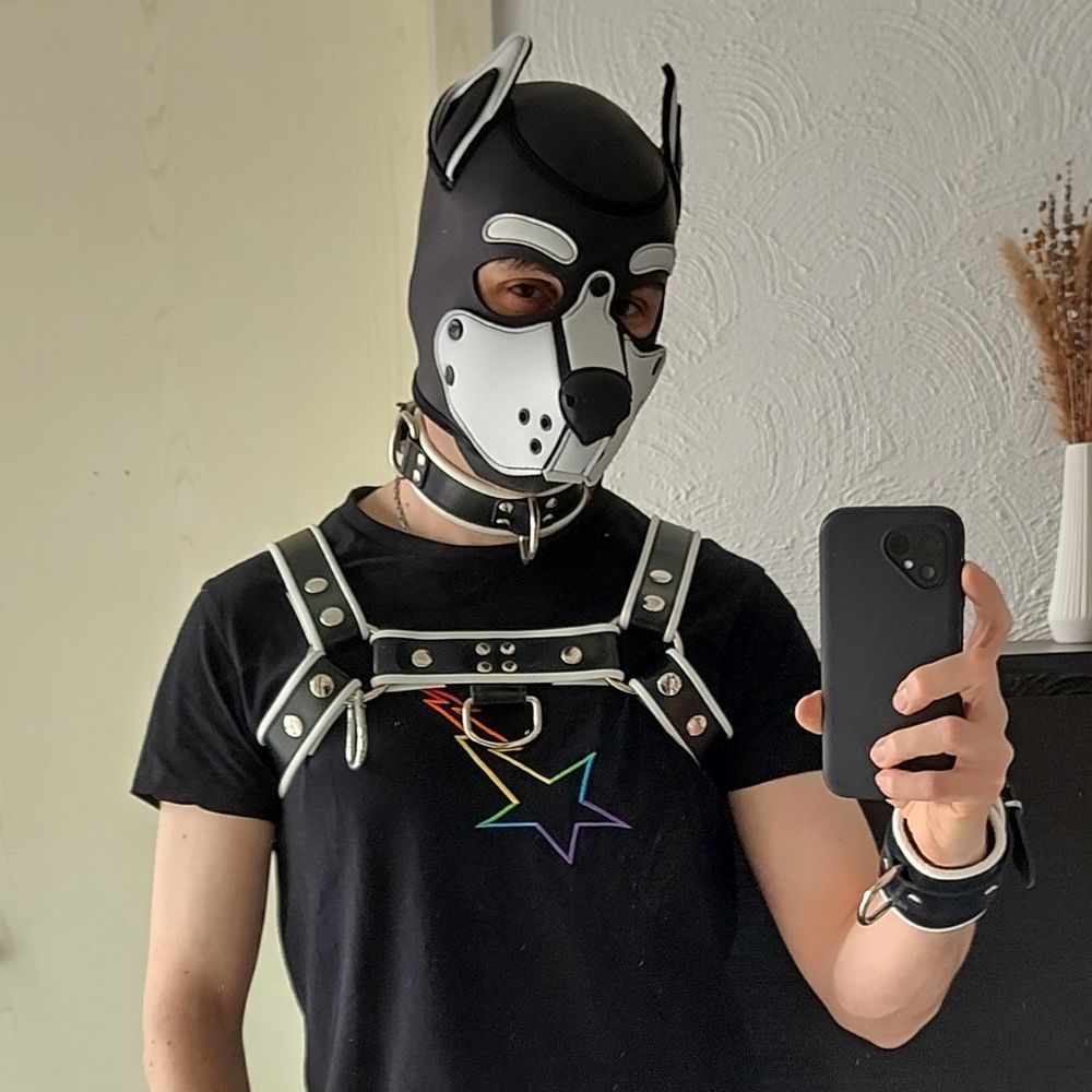 kisato_pup