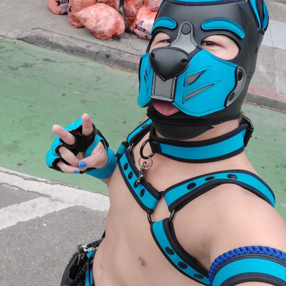 FUckInG StoOpId @ FWA