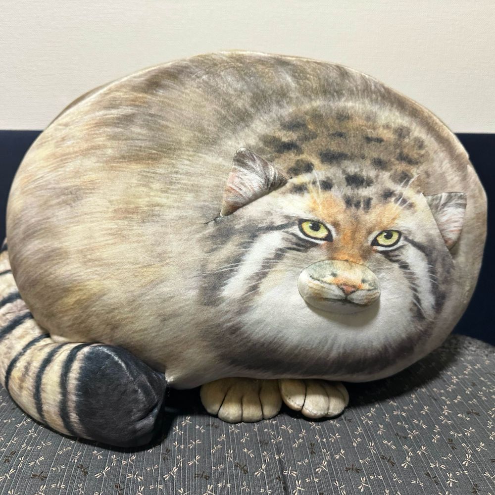 フモ