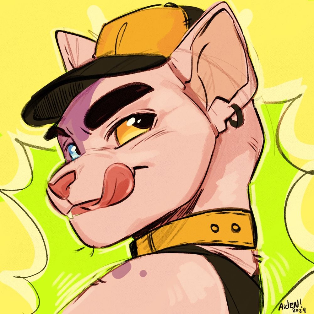 Aiden gato