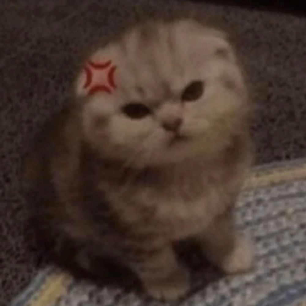 llamarlie