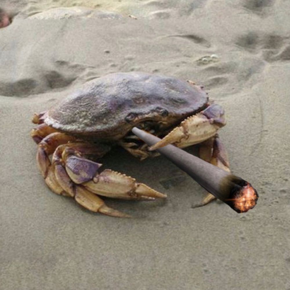 Crab Smoking a Joint 
