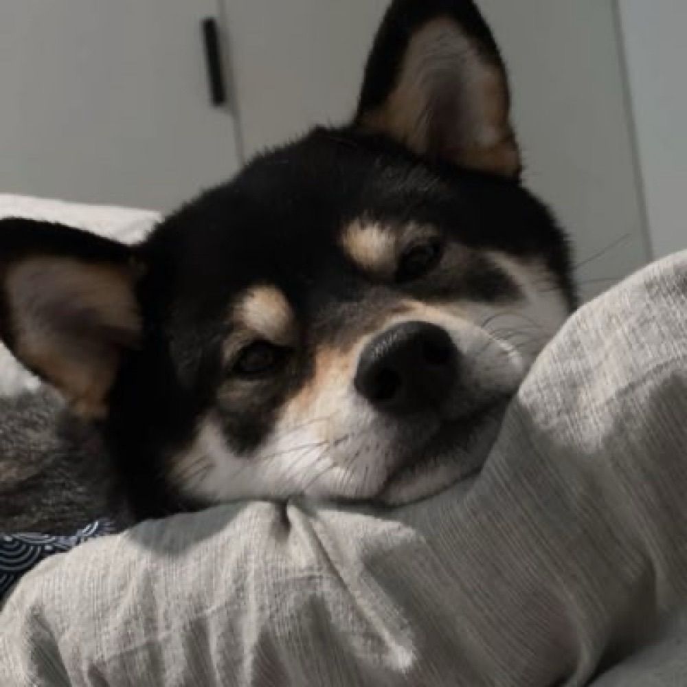 土狗