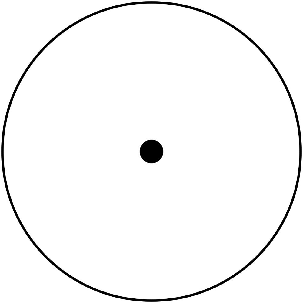 The Singularity