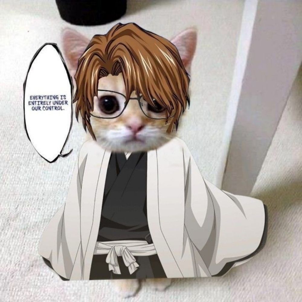 AizenMiau