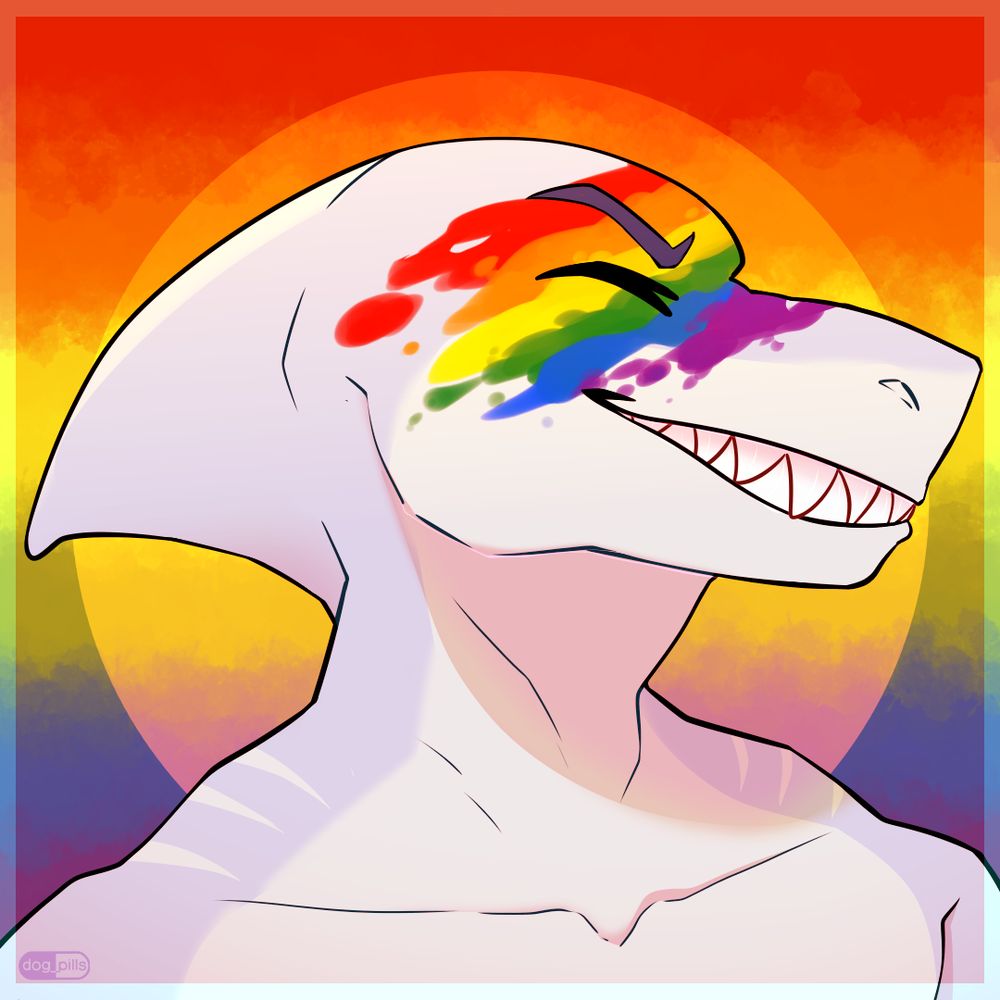 Gama shark guy