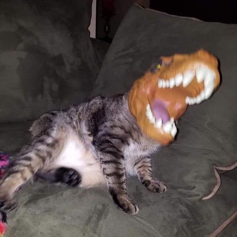 oandrew