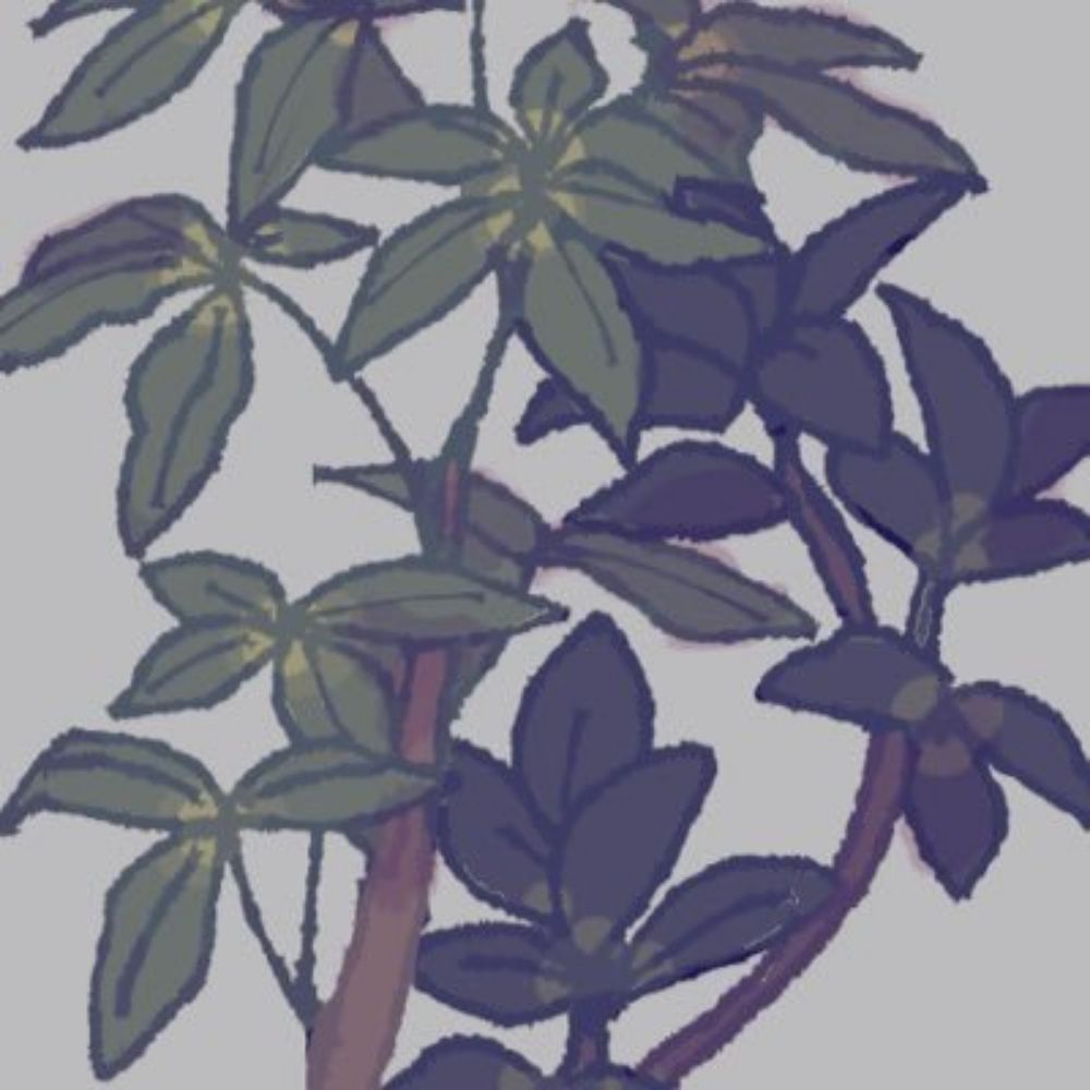 お家