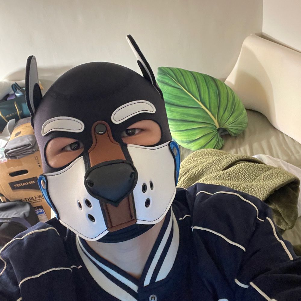 Puppy Zuo