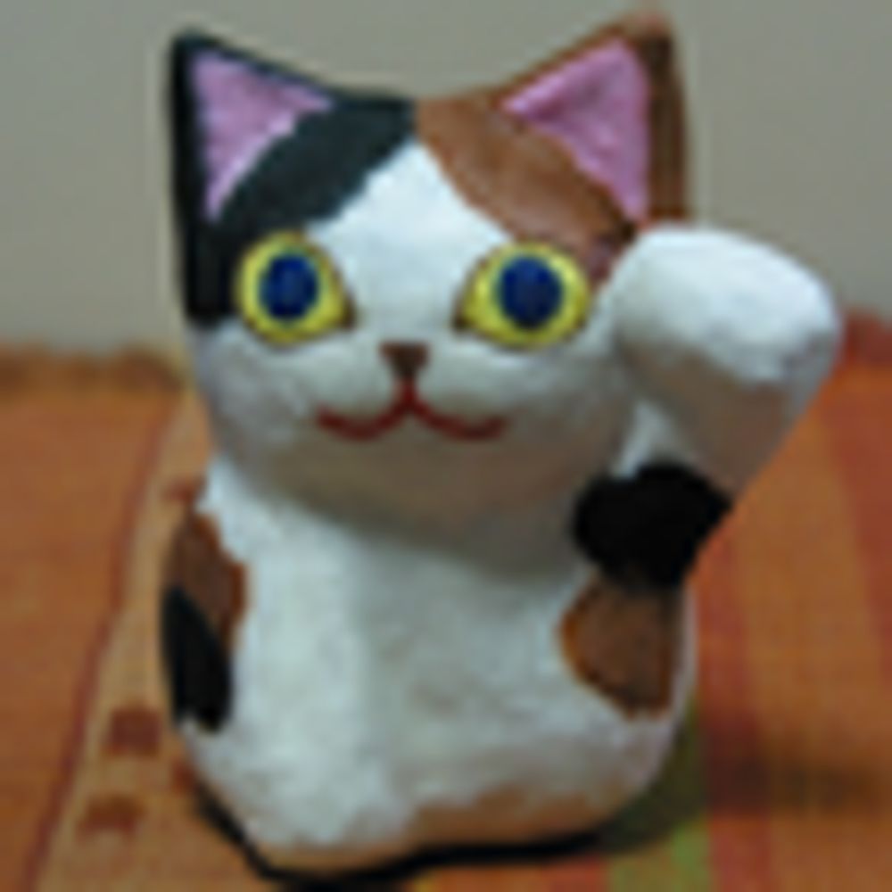豆猫堂
