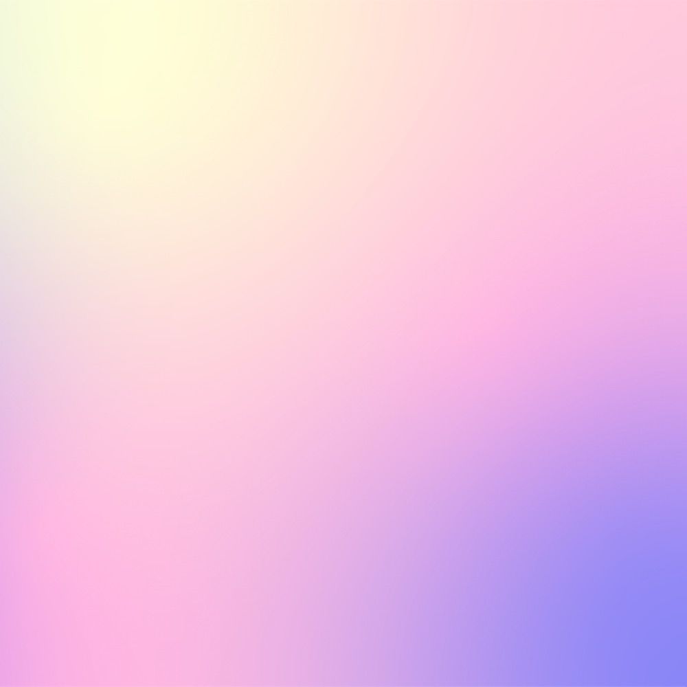 ポンヌフ