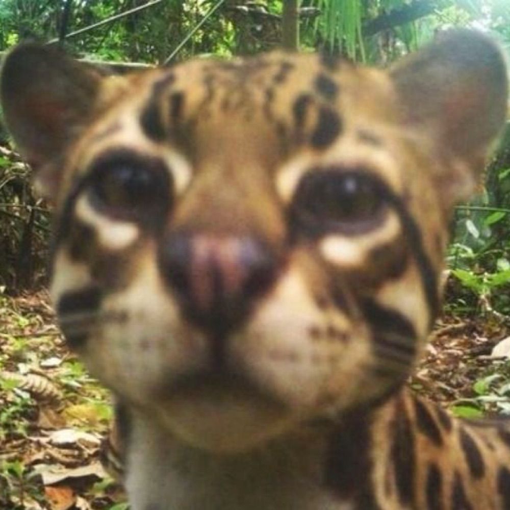 sillystuffnsprkles.bsky.social