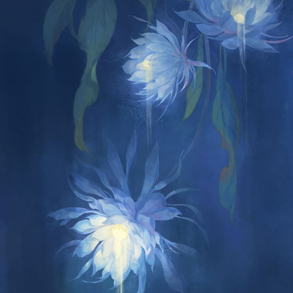 星